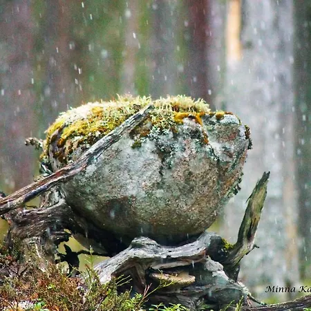 Bear Manor Отель типа 