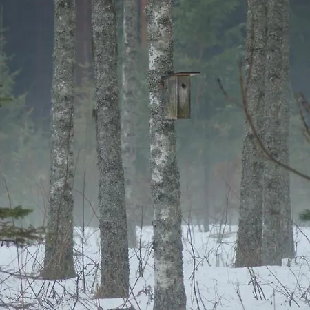 Bear Manor Bed and breakfast *