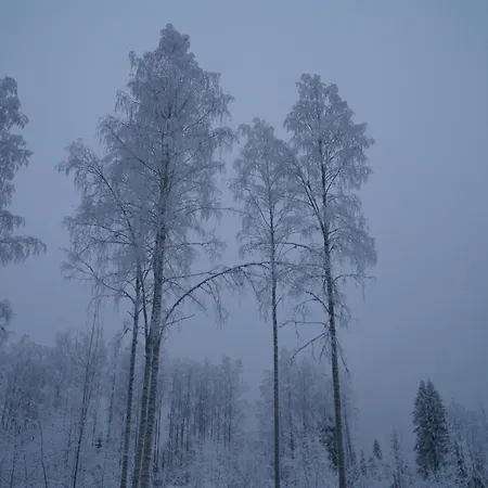 Bear Manor Отель типа 