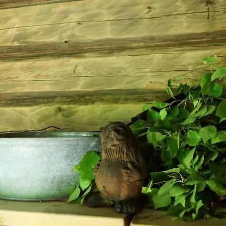 Oda ve Kahvaltı Bear Manor