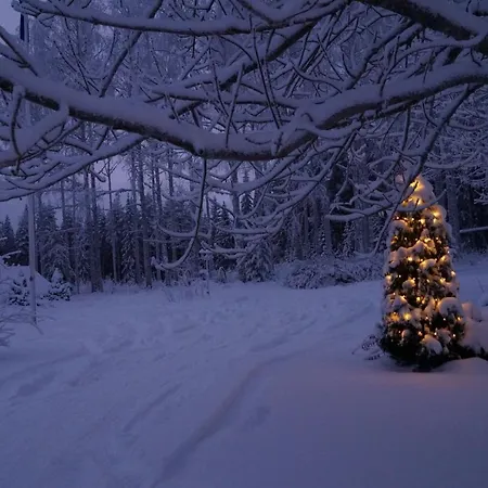 Bear Manor Отель типа 