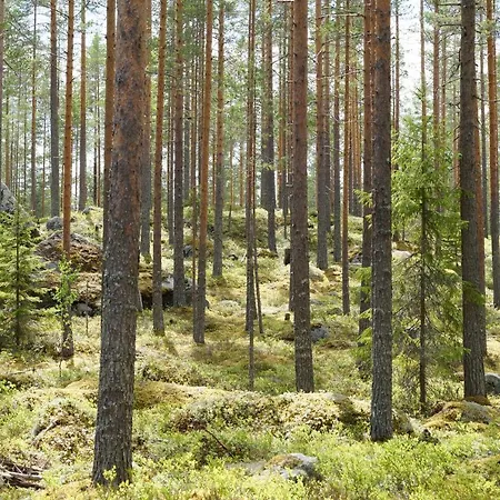 Oda ve Kahvaltı Bear Manor *