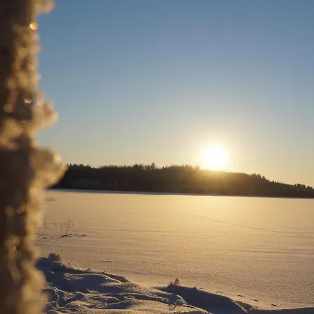 Bed and breakfast Bear Manor