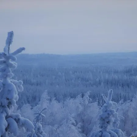 Oda ve Kahvaltı Bear Manor