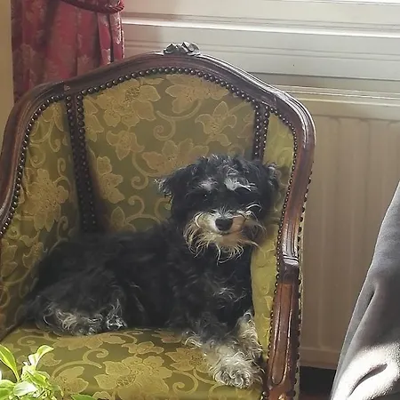 Bear Manor Oda ve Kahvaltı Kannonkoski