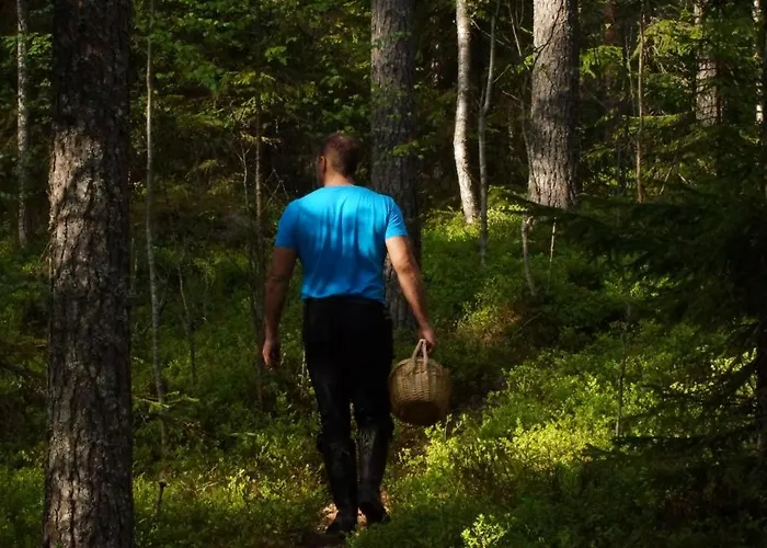 Bear Manor Bed & Breakfast *