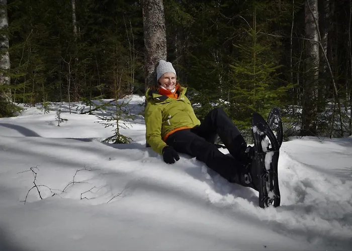 Bed & Breakfast Bear Manor *