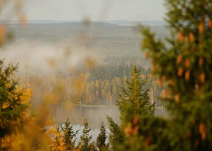 Bed & Breakfast Bear Manor