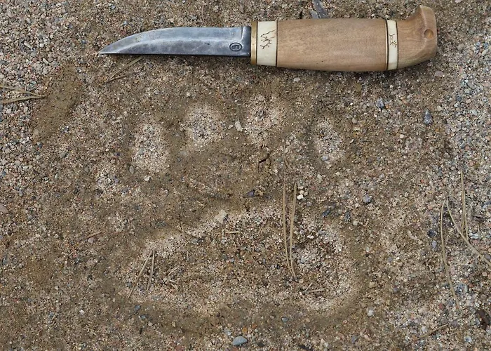 Bear Manor Kannonkoski