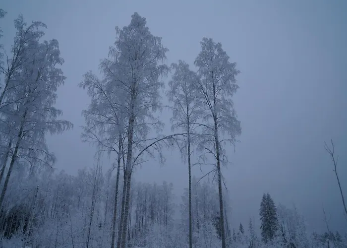 Bear Manor Bed & Breakfast *