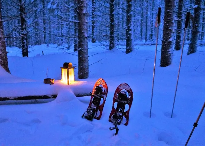 Bear Manor Kannonkoski