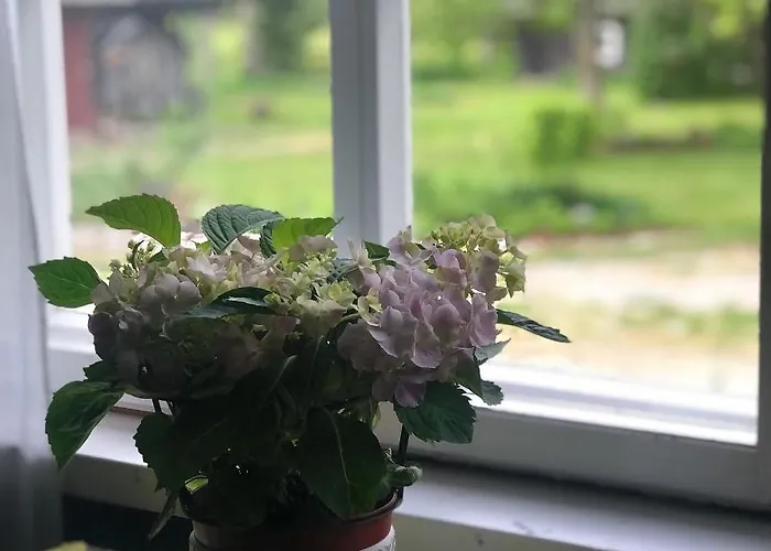 Bed & Breakfast Bear Manor Kannonkoski