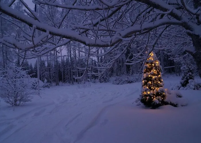 Bear Manor Bed & Breakfast *