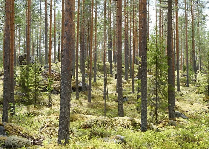 Bed & Breakfast Bear Manor *