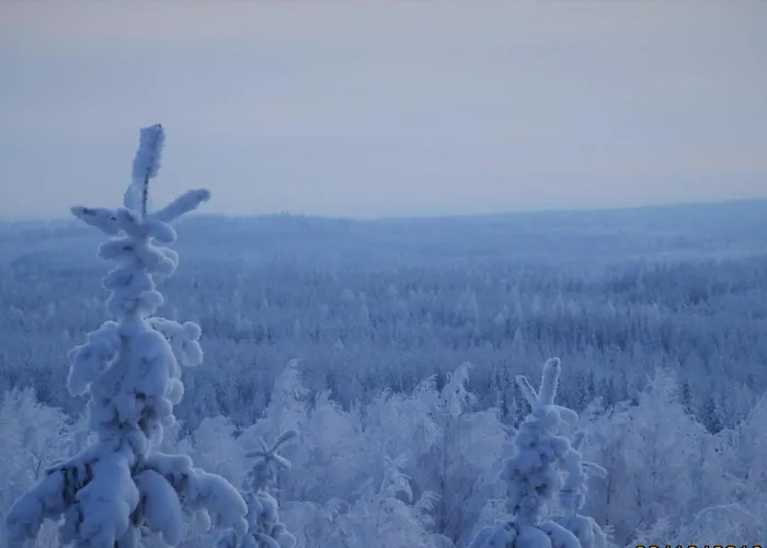 Bed & Breakfast Bear Manor