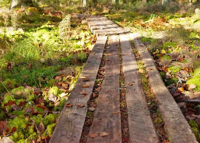 Bed & Breakfast Bear Manor *