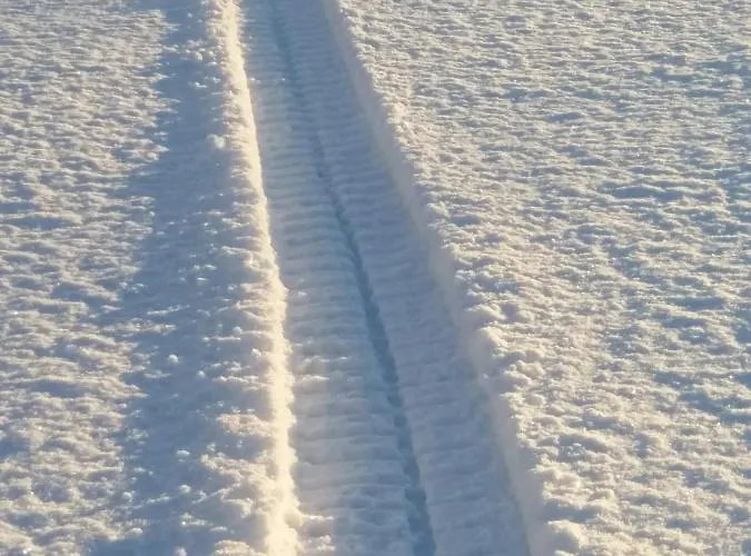 Bed & Breakfast Bear Manor *