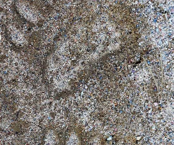 Bear Manor Kannonkoski