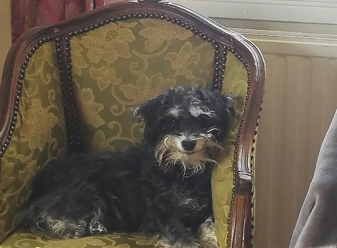 Bear Manor Bed & Breakfast Kannonkoski